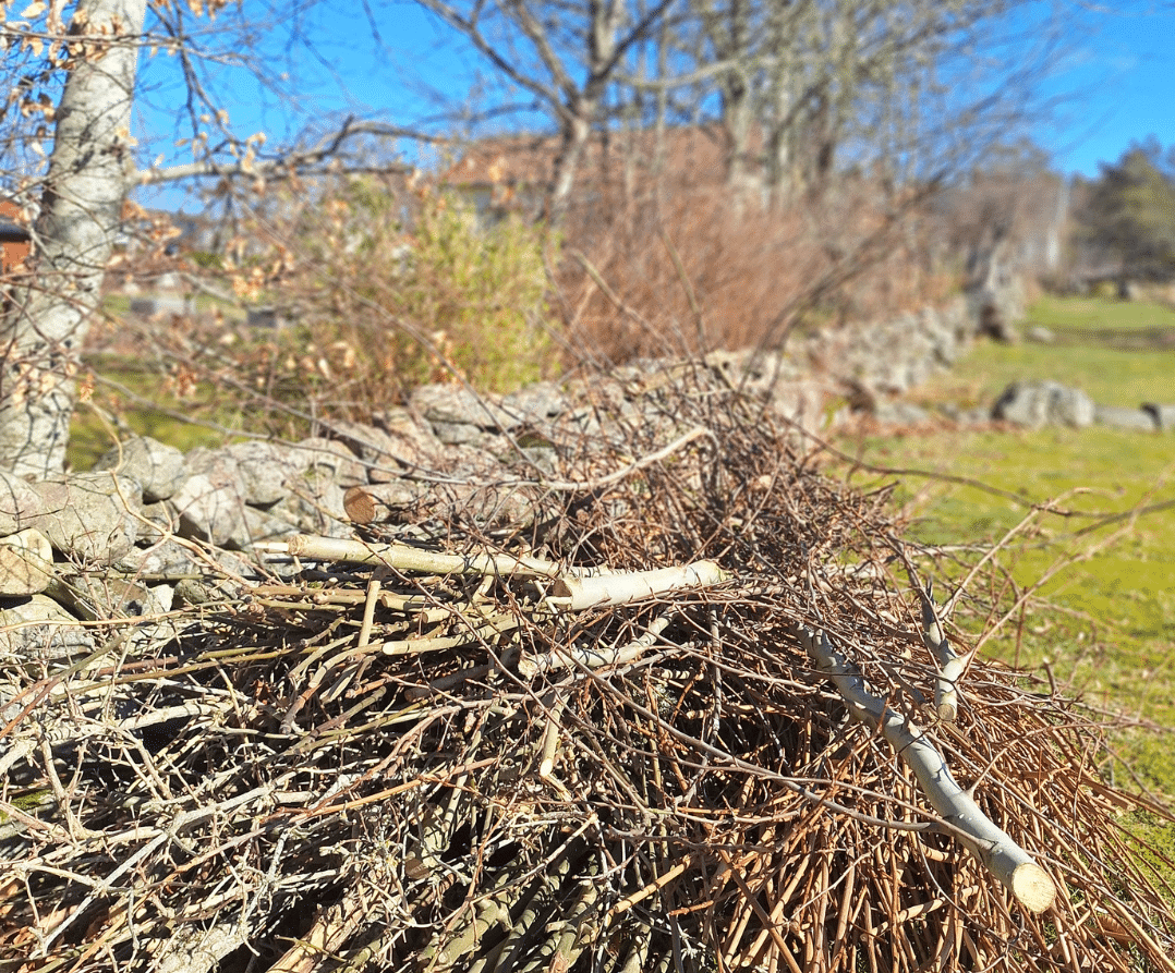 &laquo;Henter dere hageavfall?&raquo; Ja, det gjør vi!